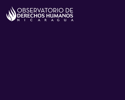 Informe de Violaciones a los Derechos Humanos por parte del Estado Nicaragüense